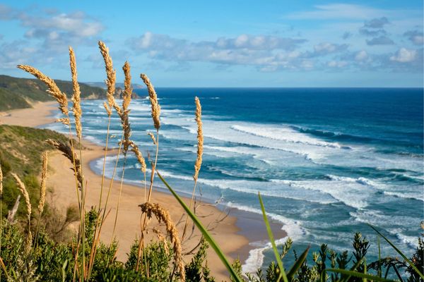 Great Ocean Walk Unplug - 6 Days